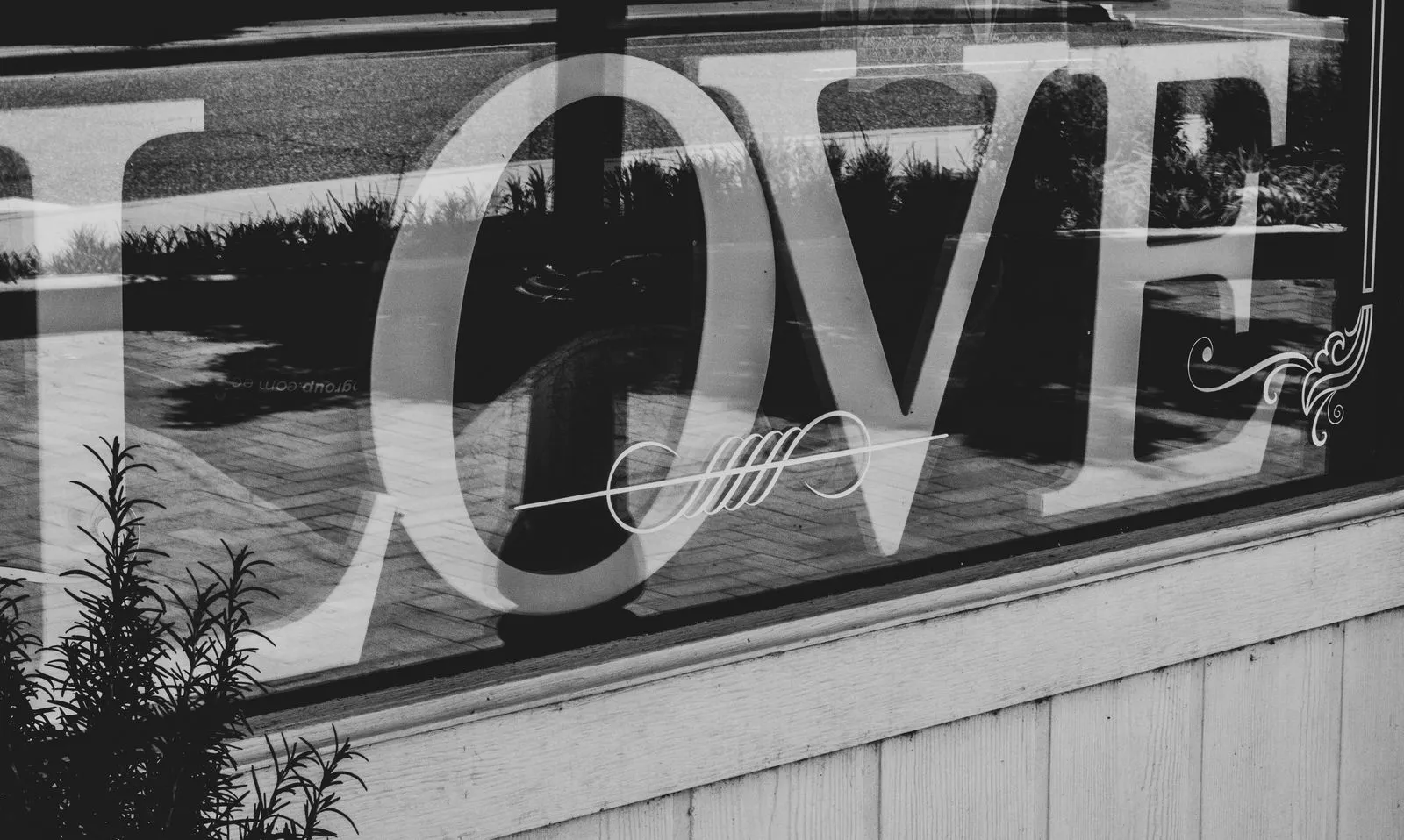 Close-up of 'Love' text in monochrome with reflective window surface.